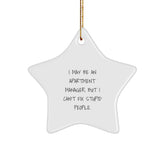 Funny Apartment Manager Gifts for Men, Unique Christmas Star Ornament, I May Be An 'I May Be An Apartment Manager, But I Can't Fix Stupid People.' Inspirational Decoration for Office, Desk, or Wall - Image 1